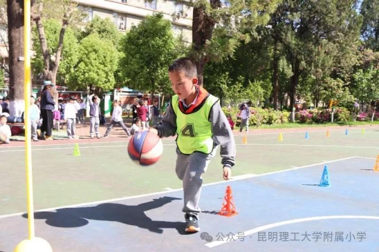 如何利用云平台进行篮球比赛的数据分析_1
